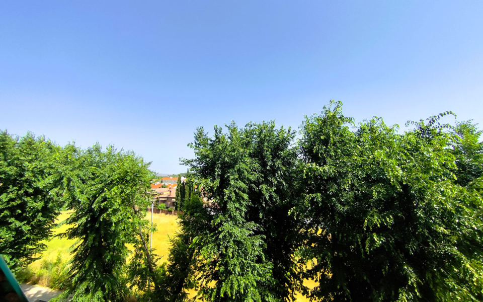 vistas, sensahome